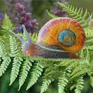 00